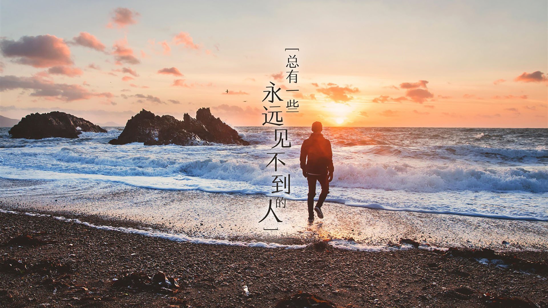 女子拳击赛：力量与智慧的共舞，女子拳击表演赛3完整版