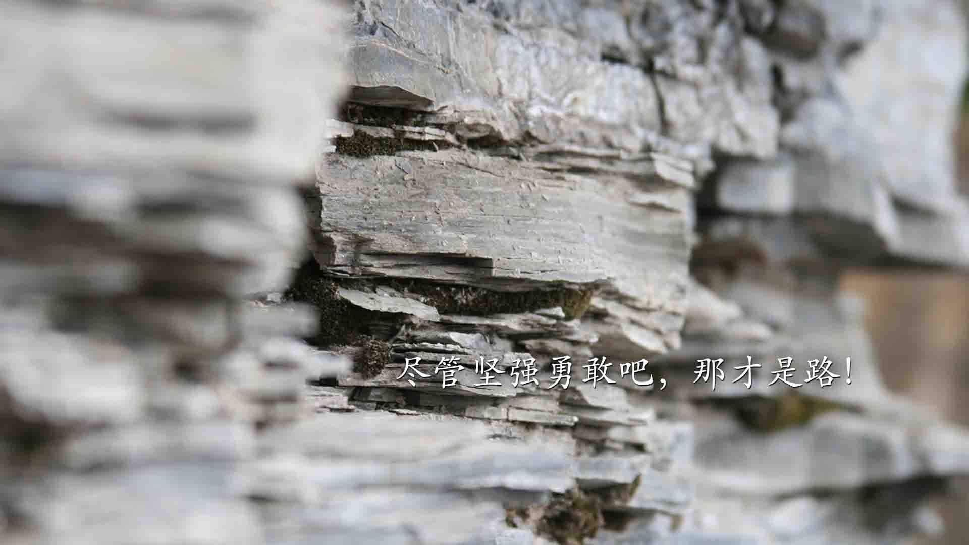 C罗领衔吉达联合锋线组合引关注，c罗、吉鲁风头正劲