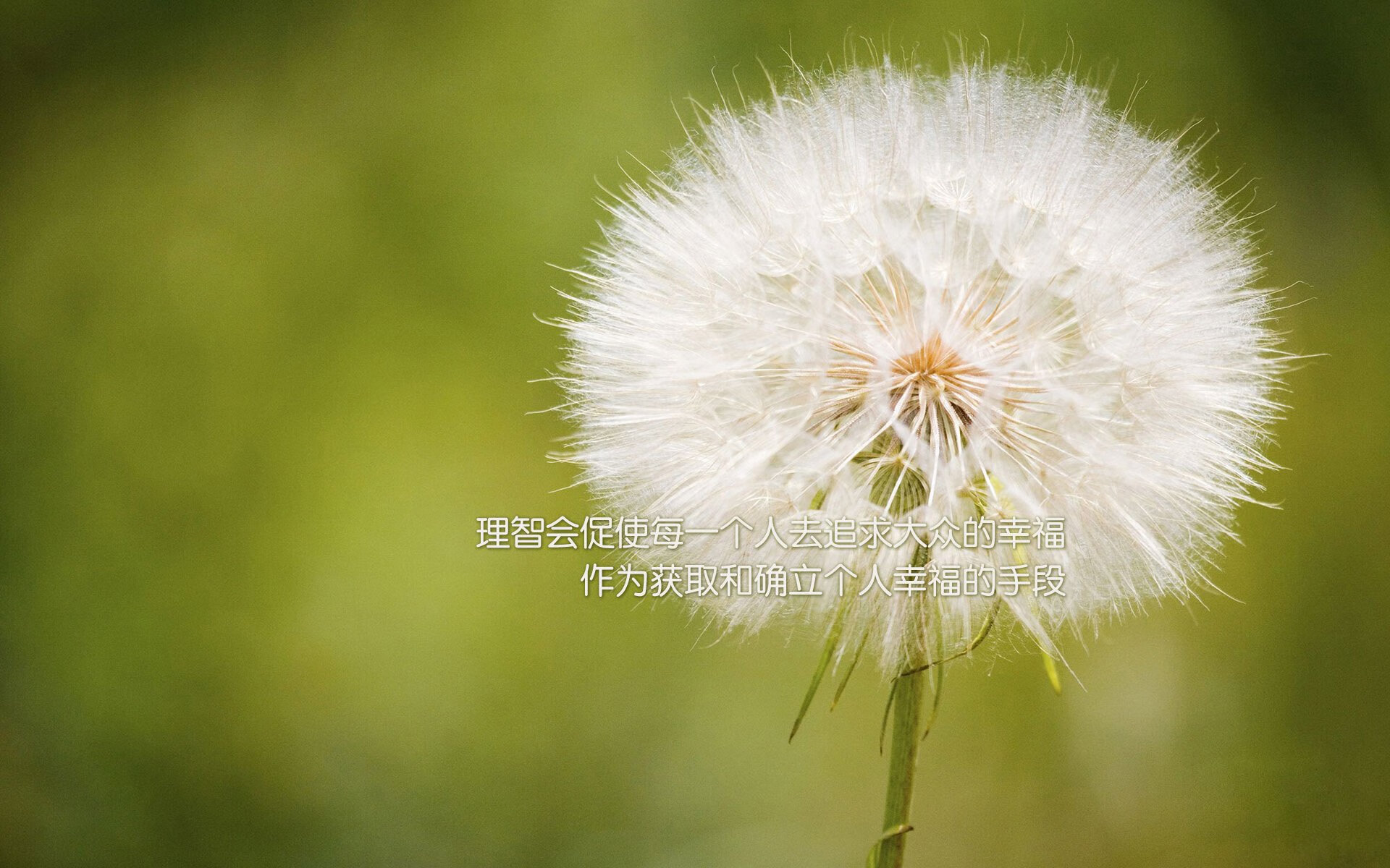 体育界动态：女足比赛中的激烈对决！，女足比赛精彩片段