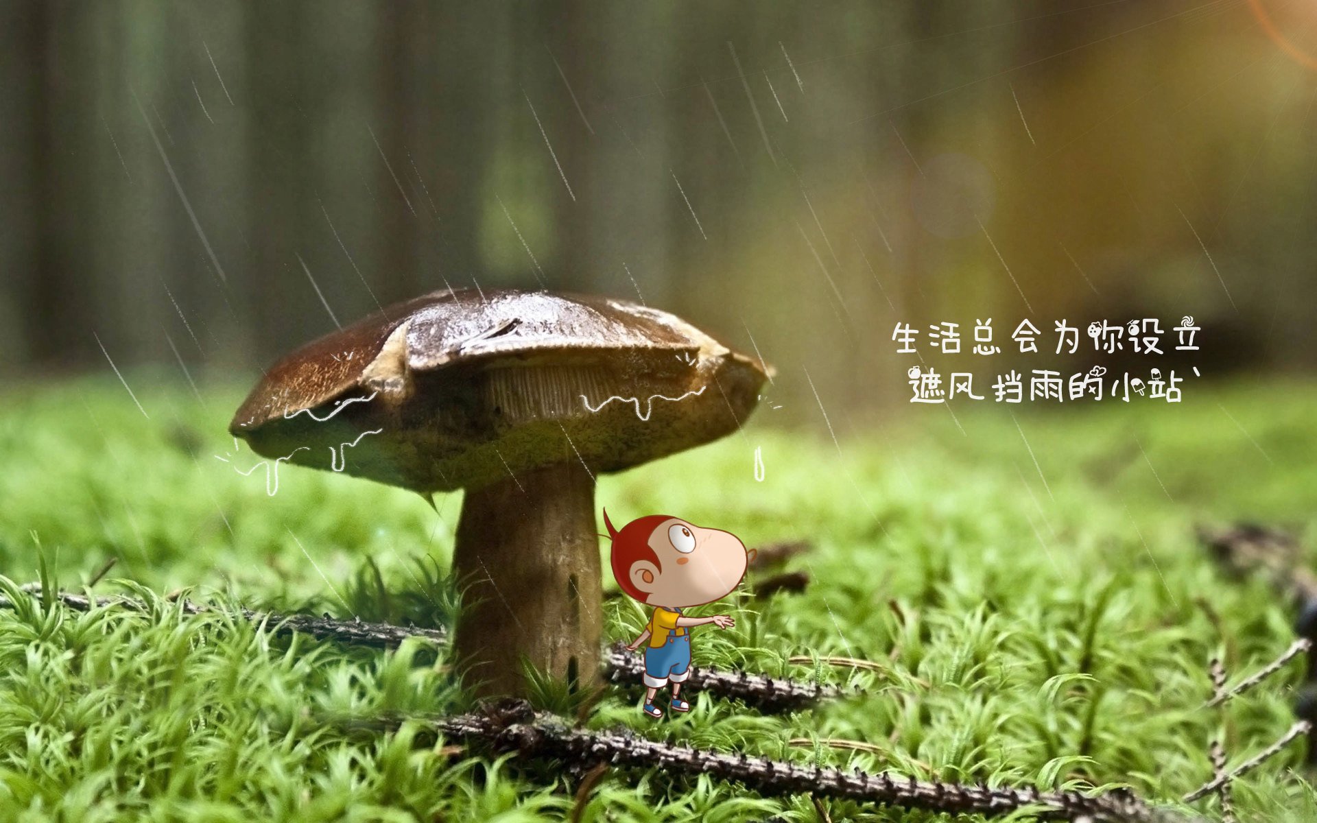 九游（jiuyou.com）游戏-曼联客场挑战切尔西，谁能笑到最后，曼联vs切尔西聚胜顽球汇