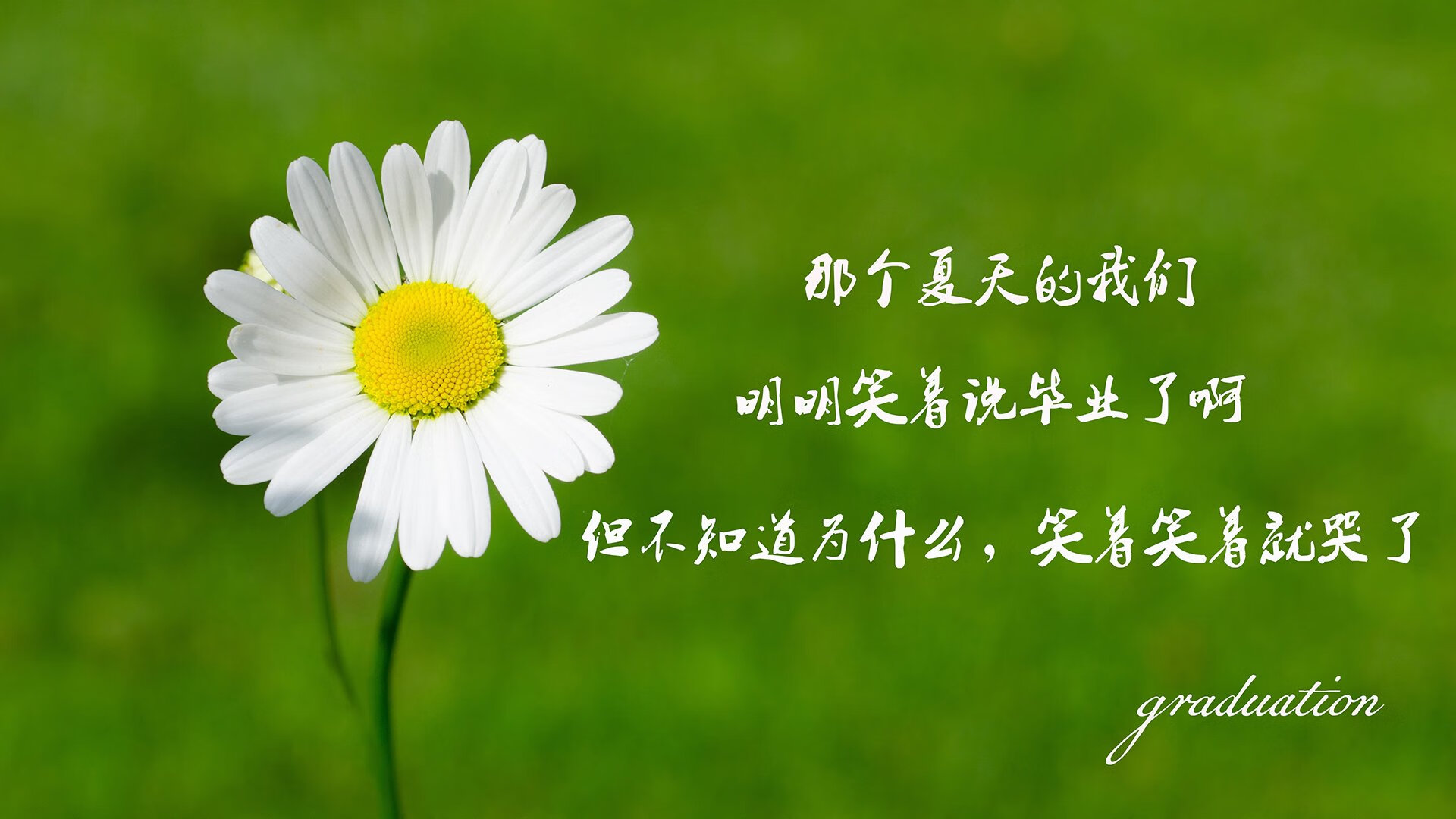 意甲VAR系统中语义分析模型优化判罚过程