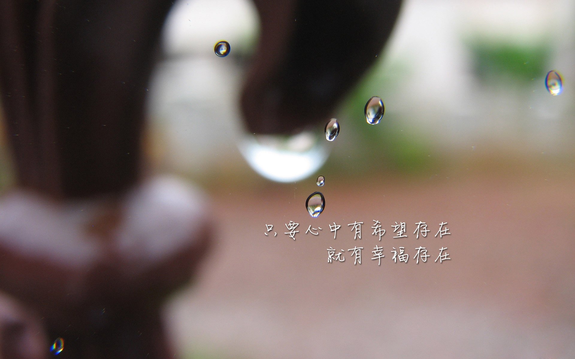 世界杯志在必得：明星球员的关键表现，世界杯明星球员排名