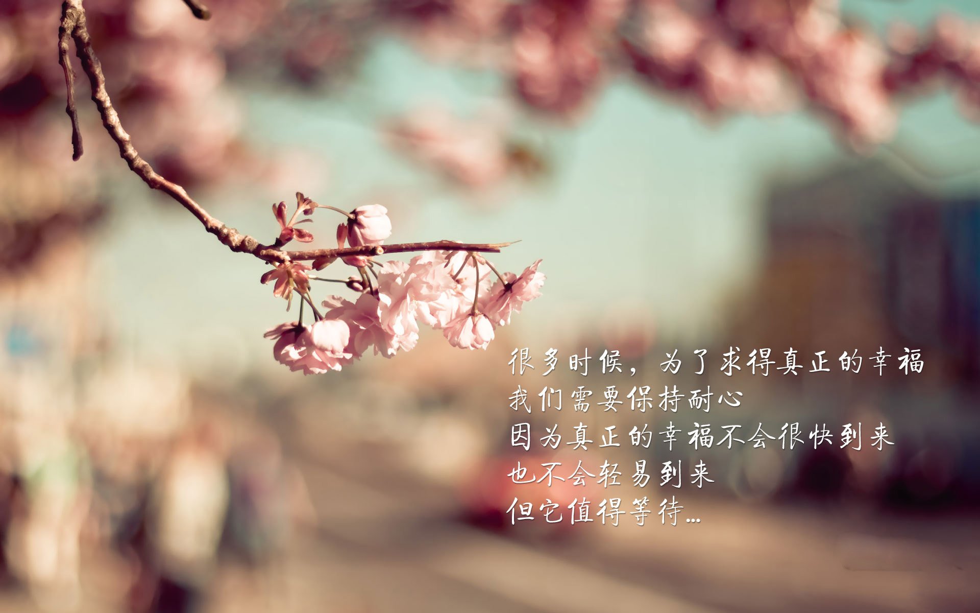 九游（jiuyou.com）游戏-塞维利亚战绩稳步提升，积极冲击欧洲赛场